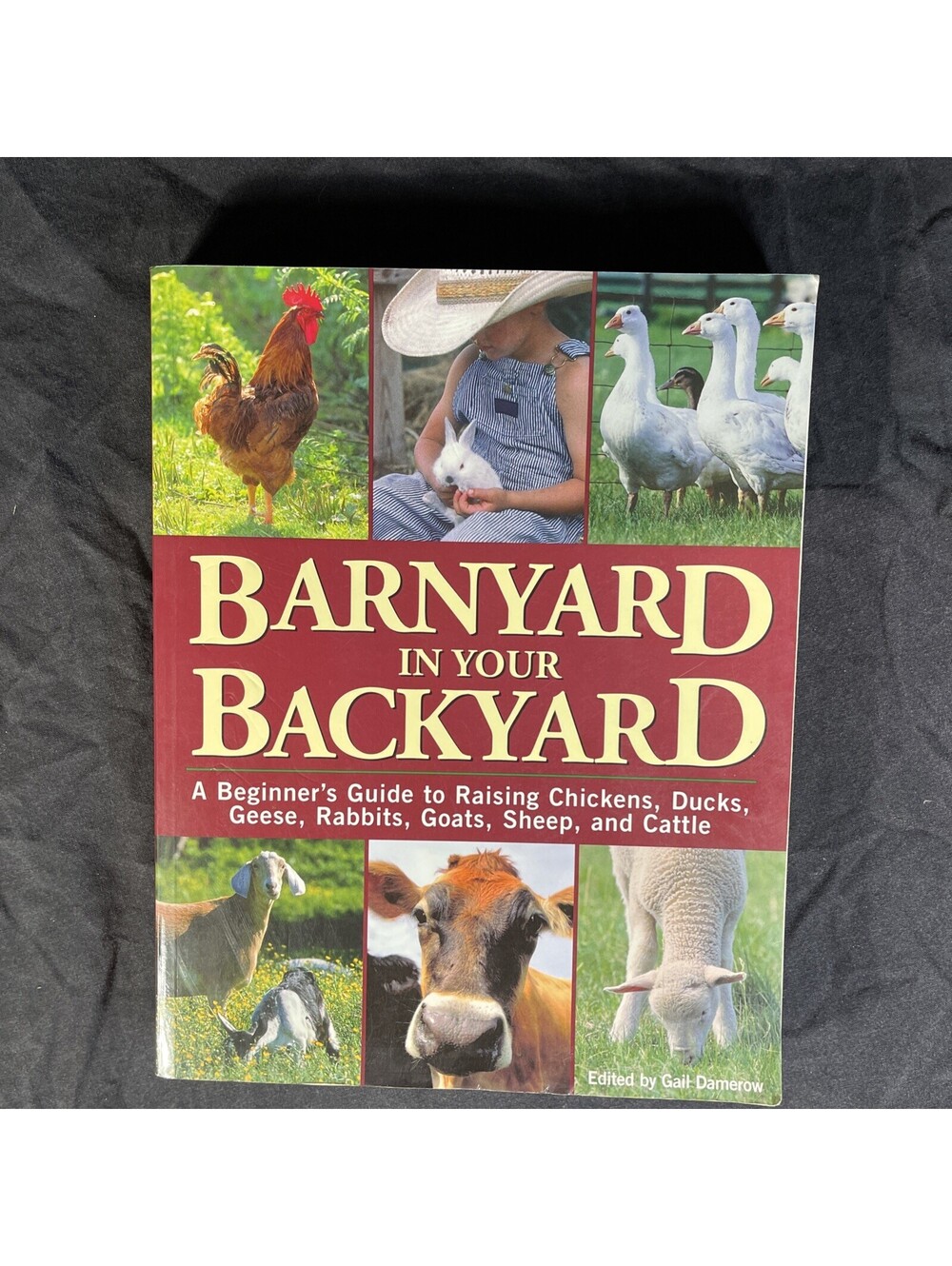 Barnyard in Your Backyard: A Beginner's Guide to Raising Chickens, Ducks, Geese,
